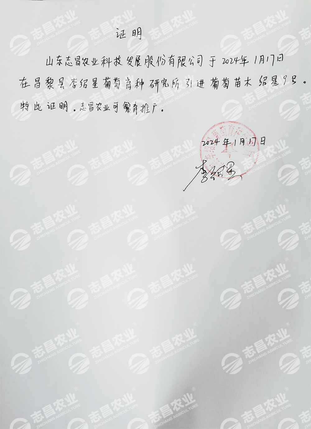紹星九號(hào)證明.jpg